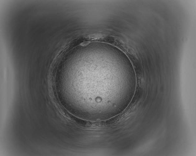 X0000112741393200908271512