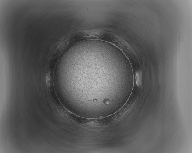 X0000112741395200908271512
