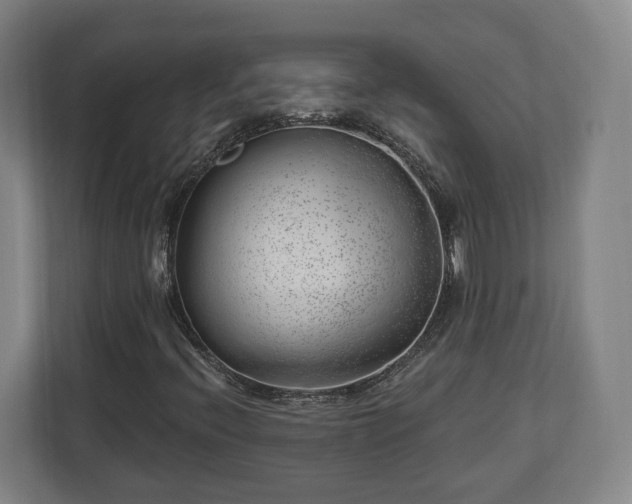 X0000112741396200908271512