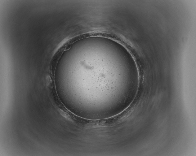 X0000112741400200908271512