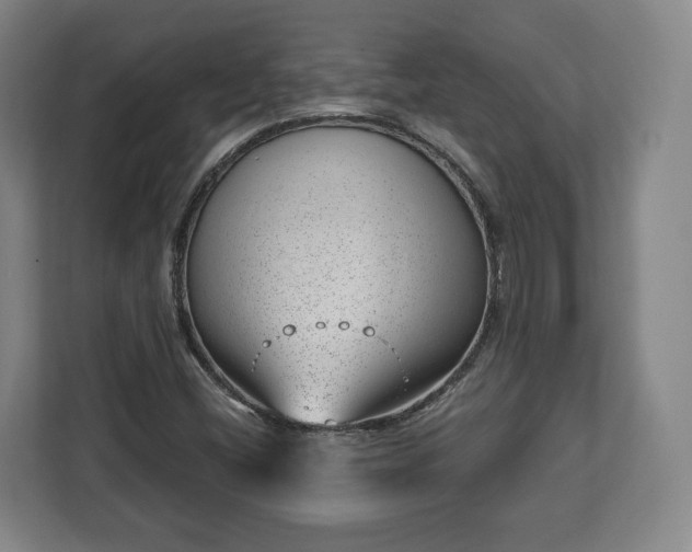 X0000112741404200908271512