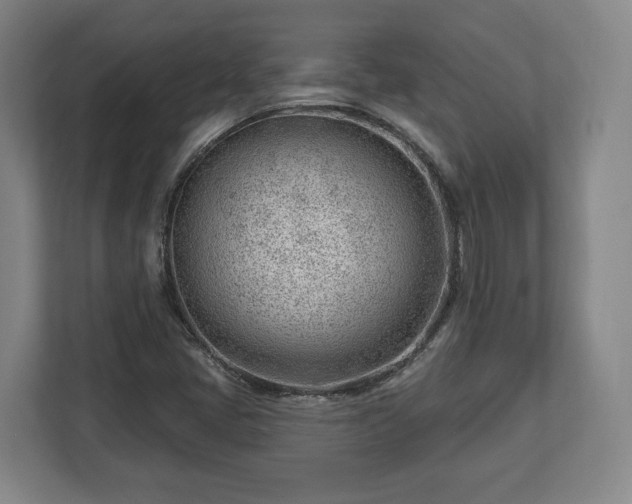 X0000112741405200908271512