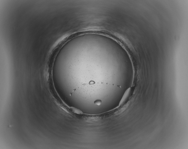 X0000112741406200908271512
