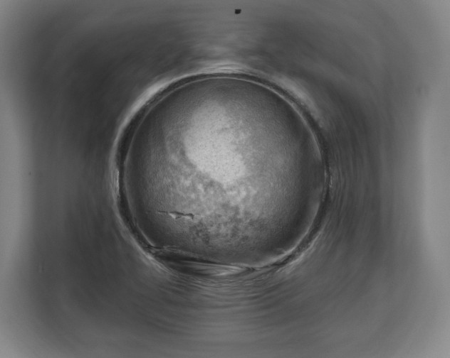 X0000112741414200908271512
