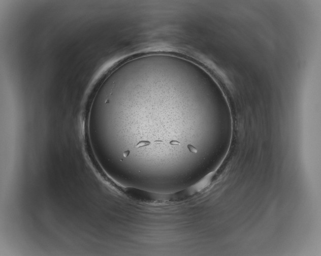 X0000112741416200908271512