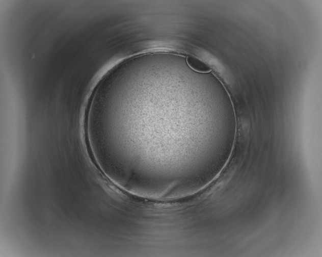 X0000112741427200908271512