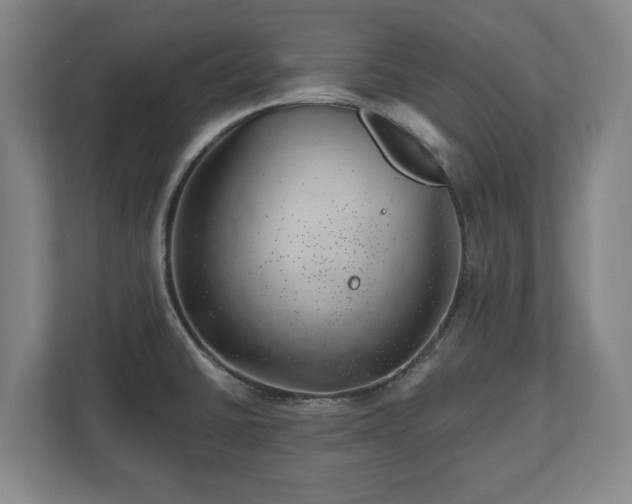 X0000112741430200908271512