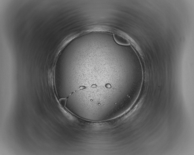 X0000112741433200908271512