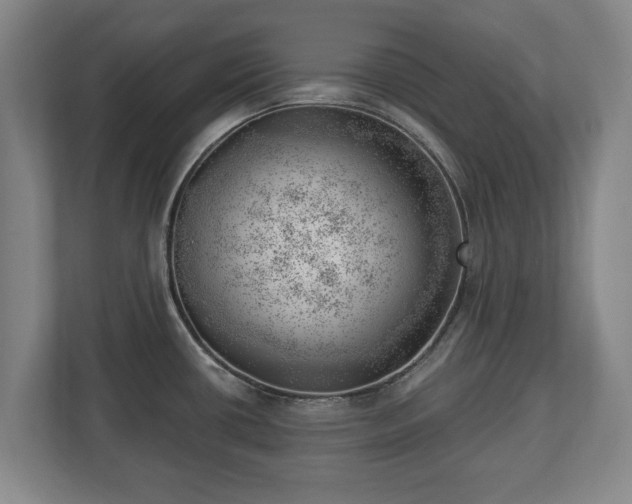X0000112741434200908271512