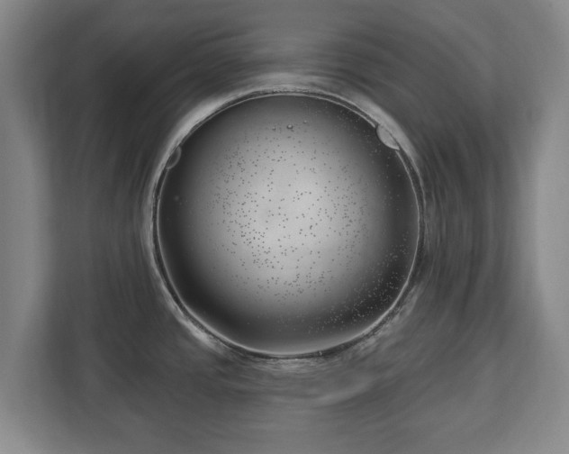 X0000112741437200908271513