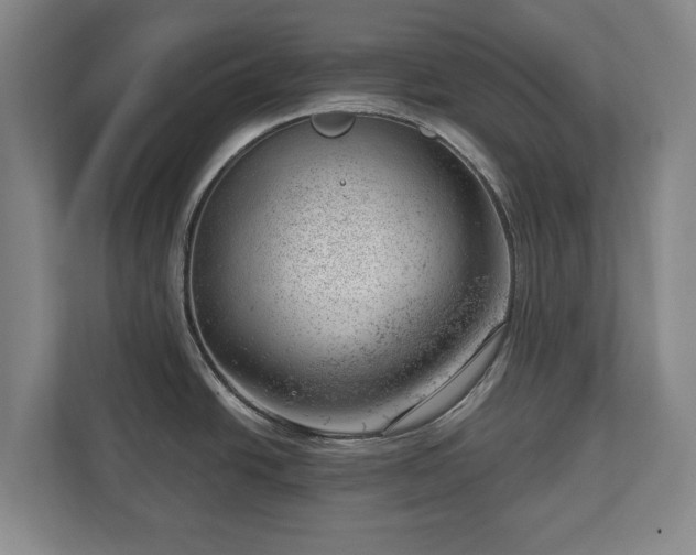 X0000112741438200908271513