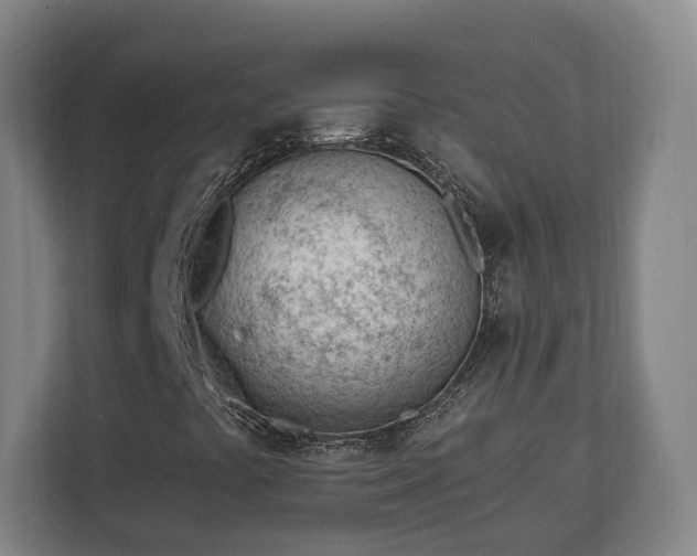 X0000112741441200908271512