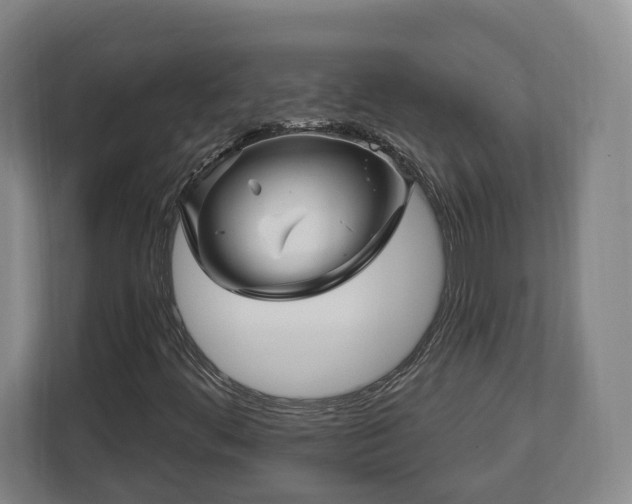X0000112741444200908271512