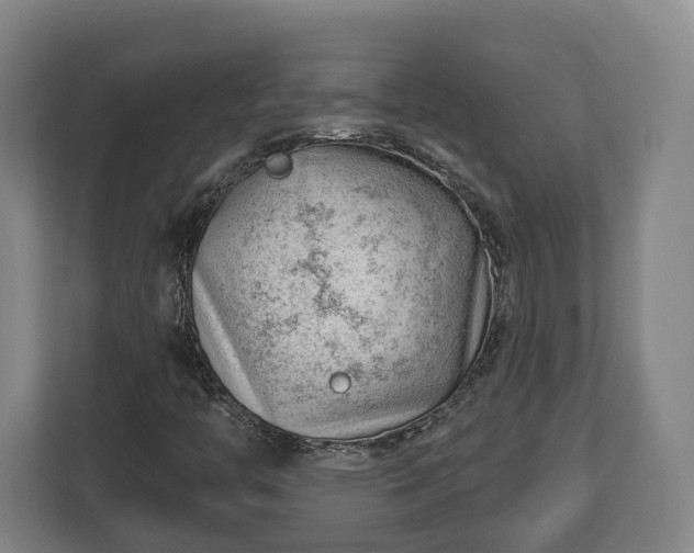 X0000112741446200908271512