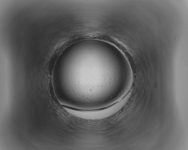X0000112741447200908271512