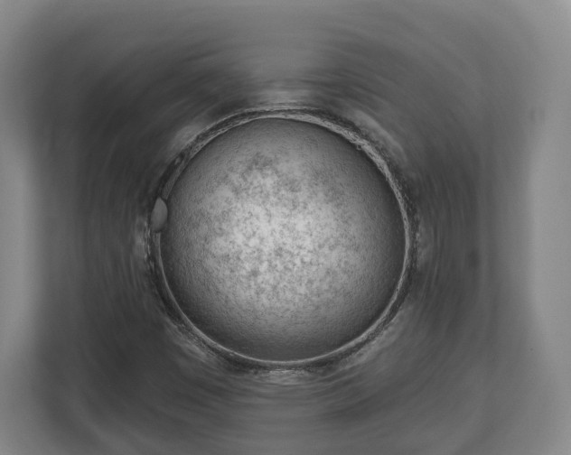 X0000112741449200908271512