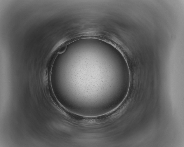 X0000112741450200908271512