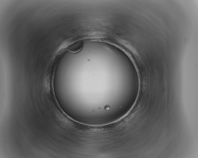 X0000112741451200908271512