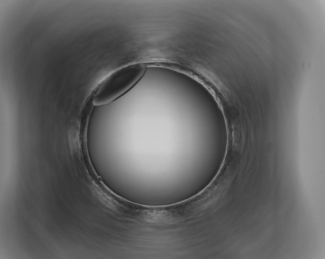 X0000112741452200908271512