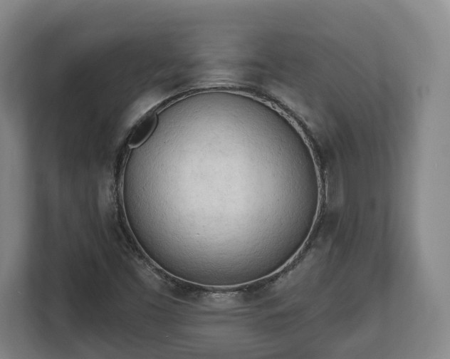 X0000112741453200908271512