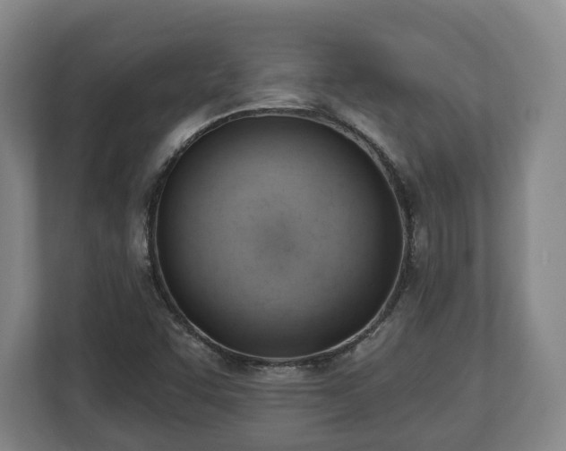 X0000112741455200908271512