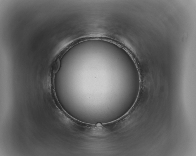 X0000112741456200908271512