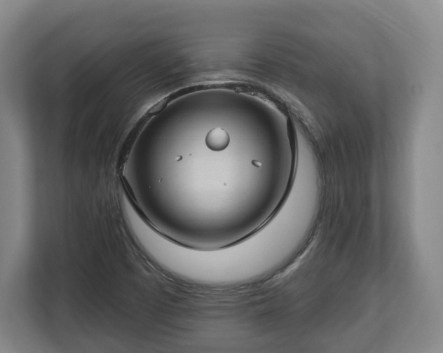X0000112741457200908271512
