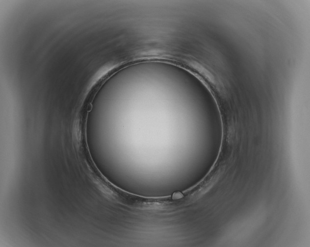 X0000112741458200908271512