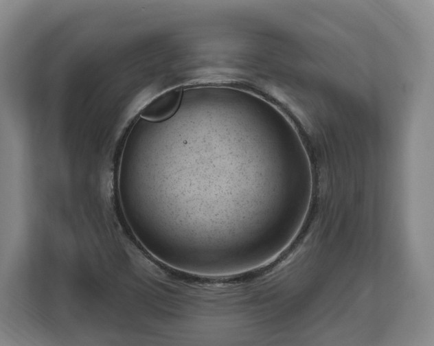 X0000112741459200908271512