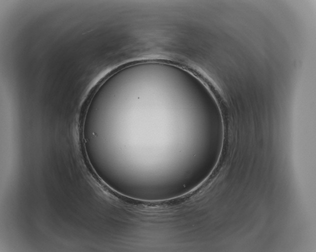X0000112741460200908271512