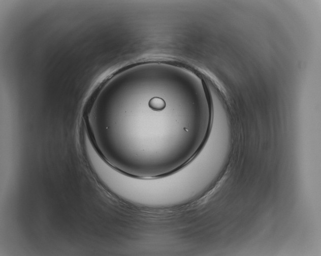 X0000112741461200908271512