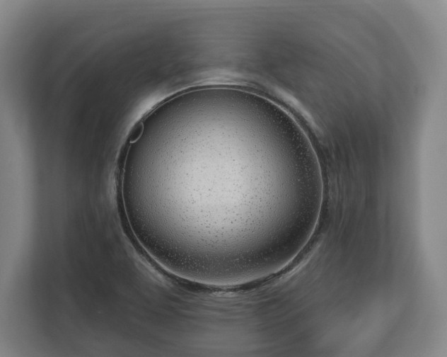 X0000112741463200908271512
