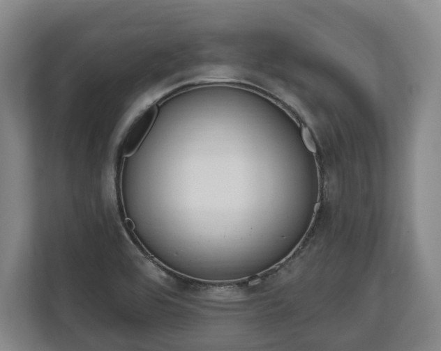 X0000112741464200908271512
