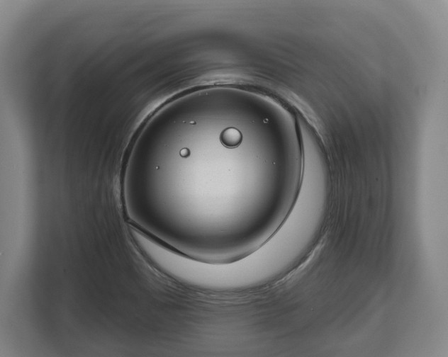 X0000112741465200908271512