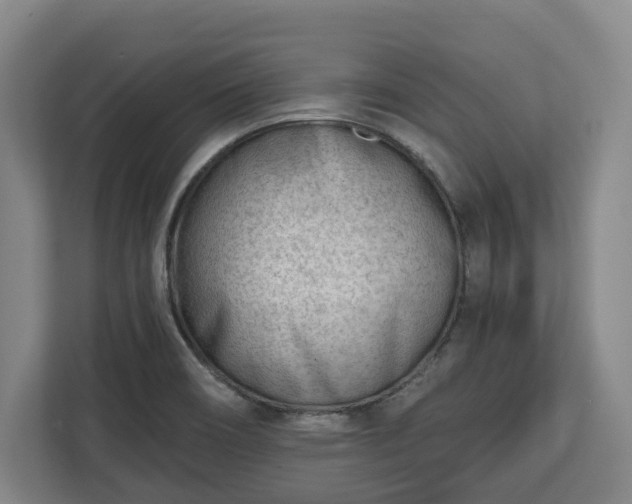 X0000112741466200908271512