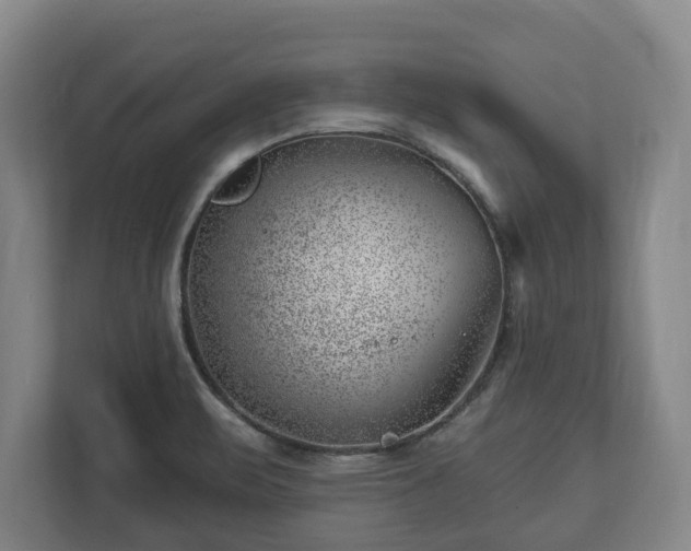 X0000112741471200908271512