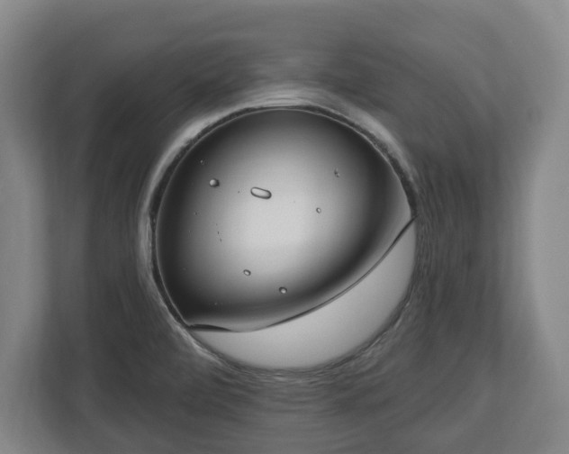 X0000112741472200908271512