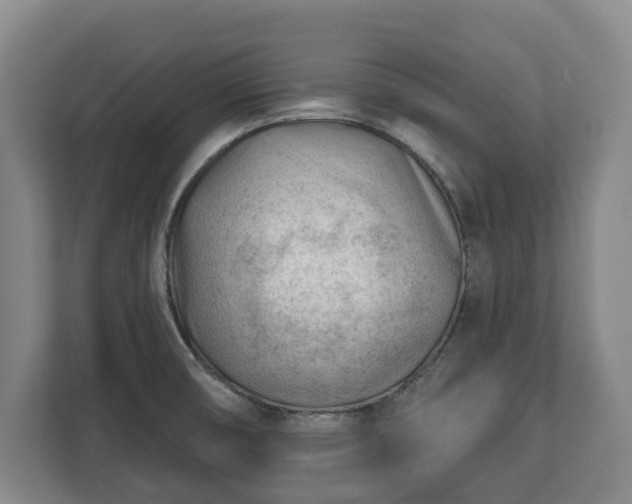 X0000112741474200908271511
