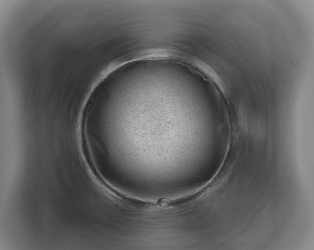 X0000112741475200908271511