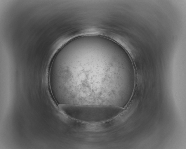 X0000112741477200908271511