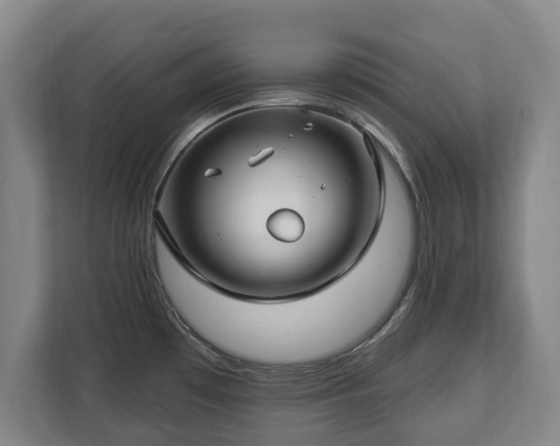 X0000112741481200908271511