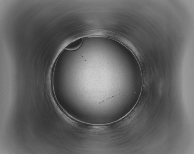 X0000112741483200908271511