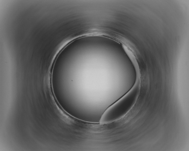 X0000112741484200908271511
