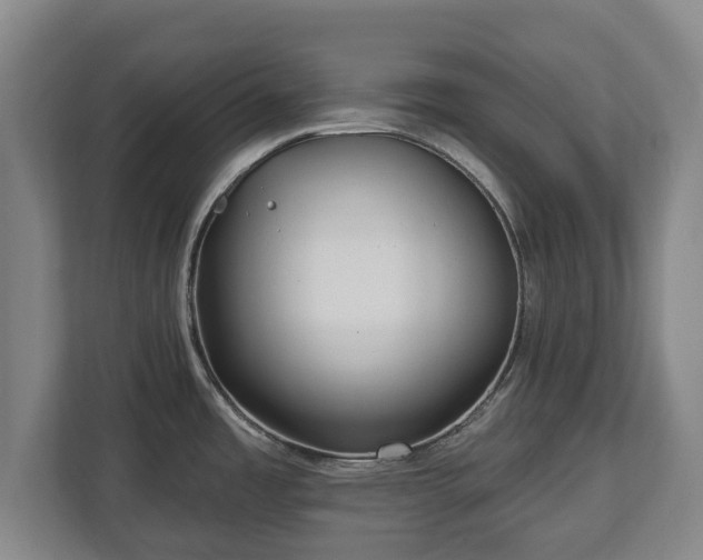 X0000112741485200908271511
