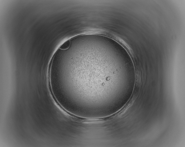 X0000112741487200908271511