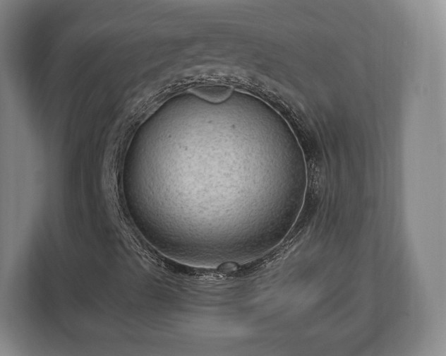 X0000112741489200908271511