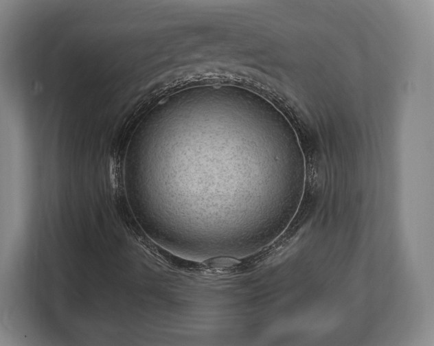 X0000112741490200908271511