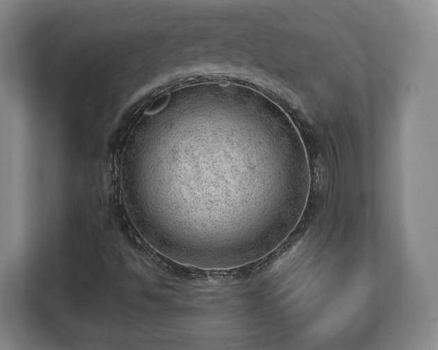 X0000112741494200908271511
