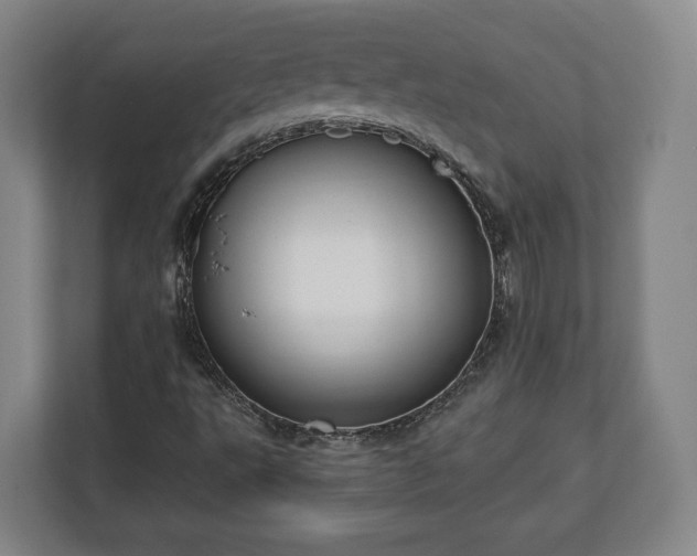 X0000112741495200908271511