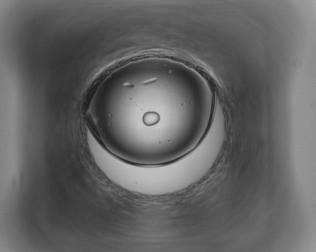 X0000112741496200908271511